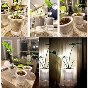 6 Inch Self Watering Pots Automatic Water-Absorbing Flower Planter Pots Flower Pot Container for Indoor Plants