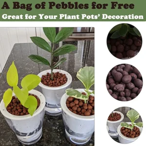 9.3 Inches Clear Self Watering Planters Large Plastic Plant Pots Wick Flower Pots for Indoor Plants
