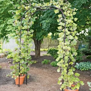 DIY Titan Garden Metal Arch Arbor trellis  For Roses, Clematis And Scarlet Runner Beans