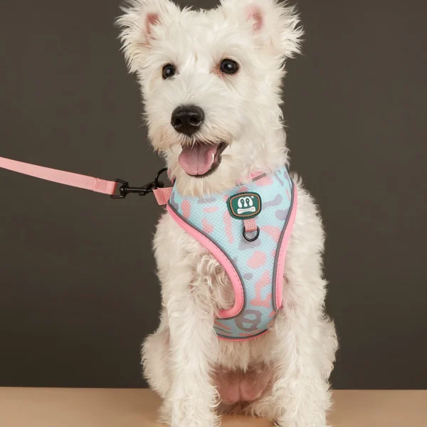 Pet Product Supplier Dog Harness And Leash Set - Image 3