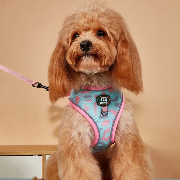 Pet Product Supplier Dog Harness And Leash Set - Image 4
