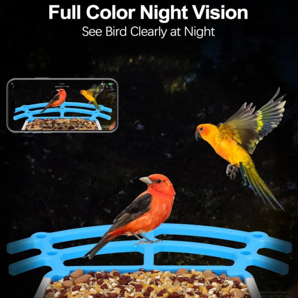 Wireless Outdoor APP Control Smart Bird Feeder with Camera Batteries Solar Powered Color Night Vision AI Identify Bird Species - Image 5