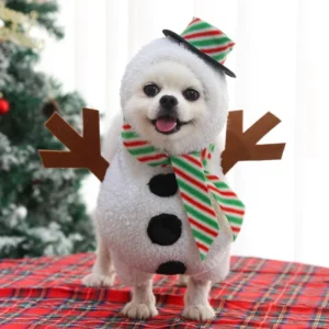 Big dogs new dog Christmas pet supplies clothes cat costumes funny autumn and winter standing snowman costume