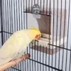 Bird Automatic Feeder Parrot Bird Food Box Bird Anti Scattering Food Box - Image 2