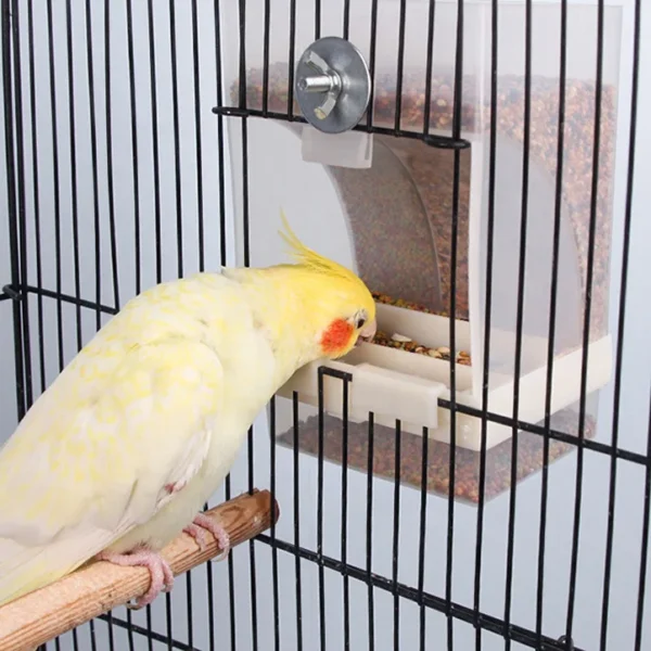 Bird Automatic Feeder Parrot Bird Food Box Bird Anti Scattering Food Box - Image 2
