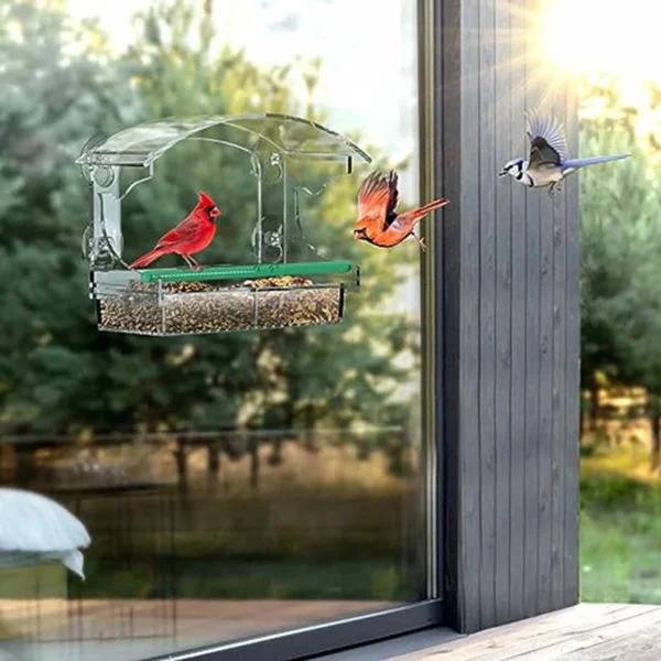 Clear Window Bird Feeder with 4 Strong Suction Cups and Detachable Seed Tray, Acrylic Birds Feeders for Outside Mounted Viewing - Image 5