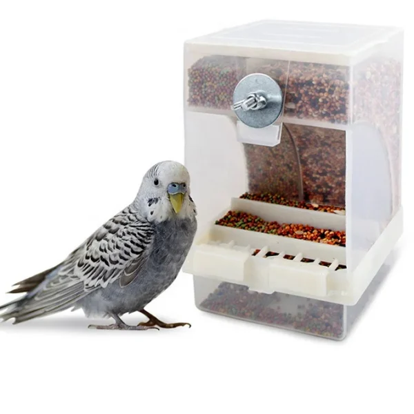 Bird Automatic Feeder Parrot Bird Food Box Bird Anti Scattering Food Box - Image 6