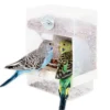 Bird Automatic Feeder Parrot Bird Food Box Bird Anti Scattering Food Box - Image 3