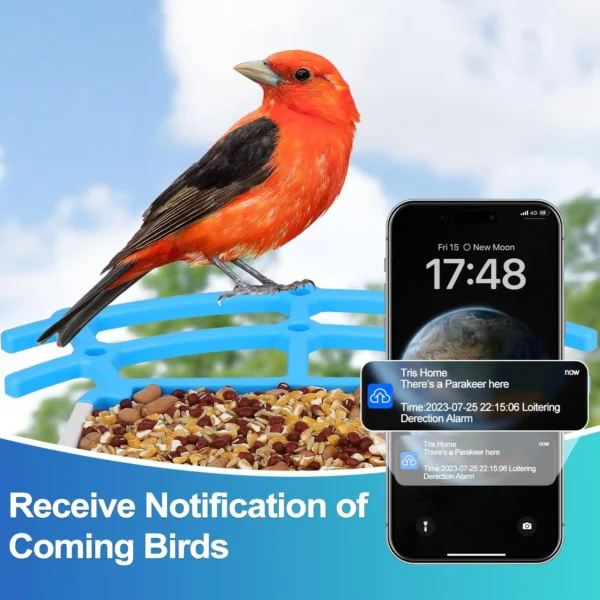Wireless Outdoor APP Control Smart Bird Feeder with Camera Batteries Solar Powered Color Night Vision AI Identify Bird Species - Image 2