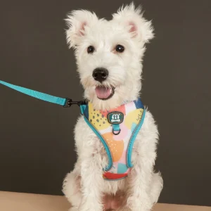 Pet Product Supplier Dog Harness And Leash Set