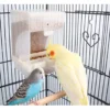 Bird Automatic Feeder Parrot Bird Food Box Bird Anti Scattering Food Box