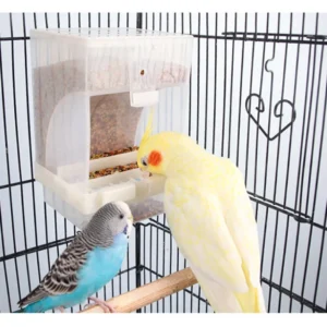 Bird Automatic Feeder Parrot Bird Food Box Bird Anti Scattering Food Box