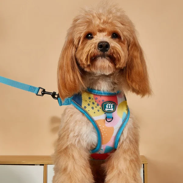 Pet Product Supplier Dog Harness And Leash Set - Image 2