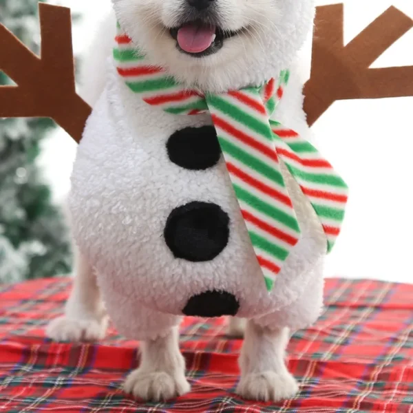 Big dogs new dog Christmas pet supplies clothes cat costumes funny autumn and winter standing snowman costume - Image 2